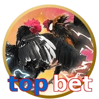 topbet